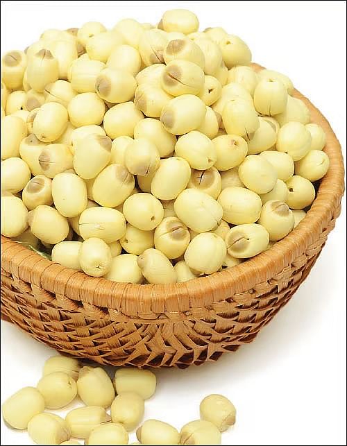 lotus seeds