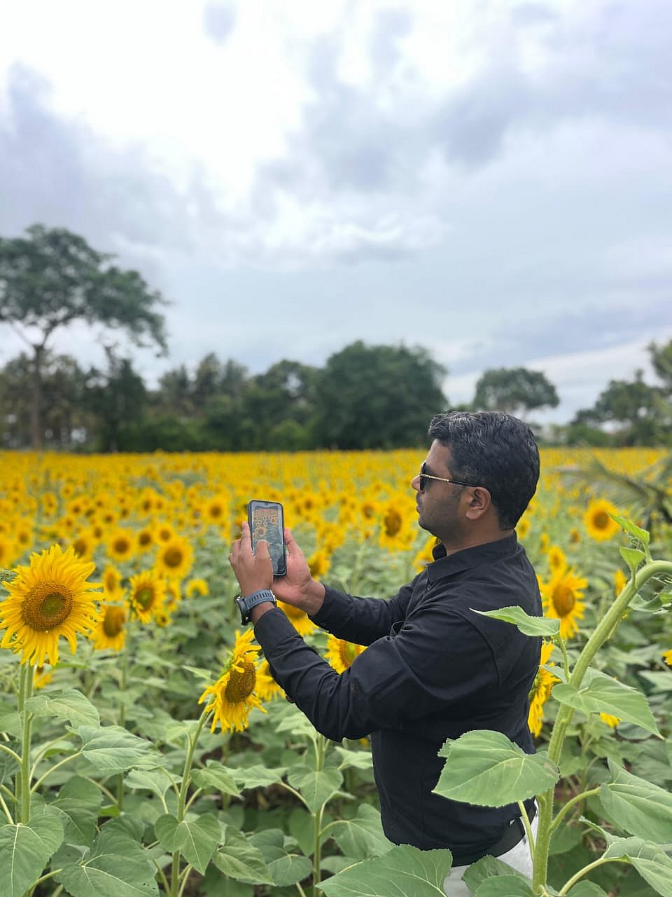 Sunflower: கண்ணுக்கு எட்டும் தூரம் வரை மஞ்சள் அலை... செல்ஃபி ஸ்பாட்டாக மாறிய குண்டல்பேட்!