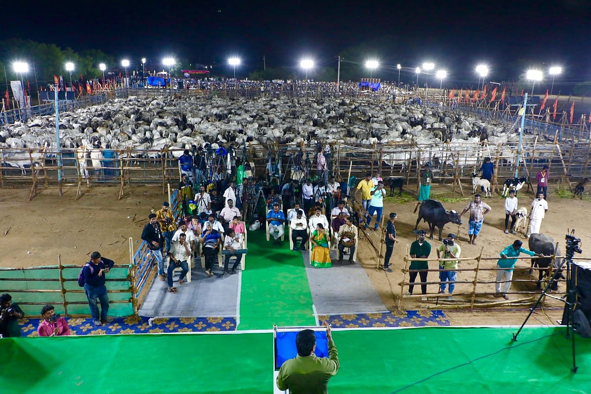 `கவனயீர்ப்புக்காகவே ஆடு, மாடு மாநாடு; அடுத்து மரங்களிடம் பேசுவார் சீமான்’ - NTK வெண்ணிலா தாயுமானவன்