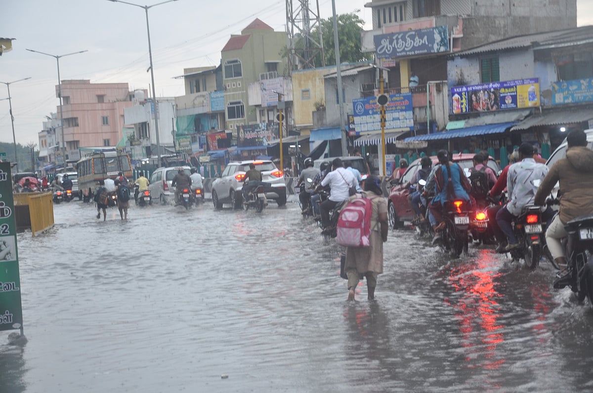 ஈரோடு: கொட்டித் தீர்த்த கனமழை; சாலைகளில் பாய்ந்த வெள்ள நீர் |Photo Album