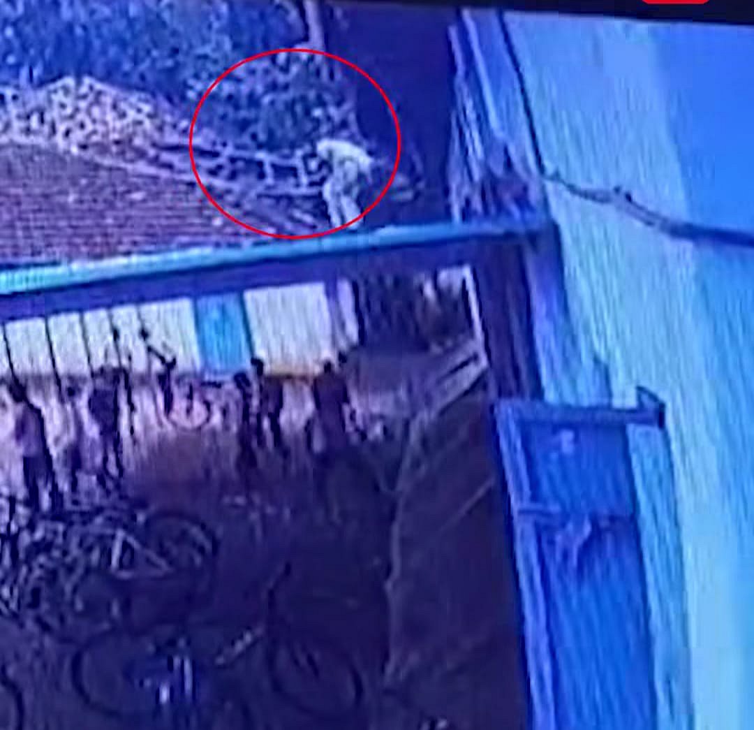 பள்ளி சைக்கிள் ஷெட் மீது விழுந்த காலணி; எடுக்க முயன்ற மாணவன்
மின்சாரம் தாக்கி பலி.. கேரளாவில் சோகம்!