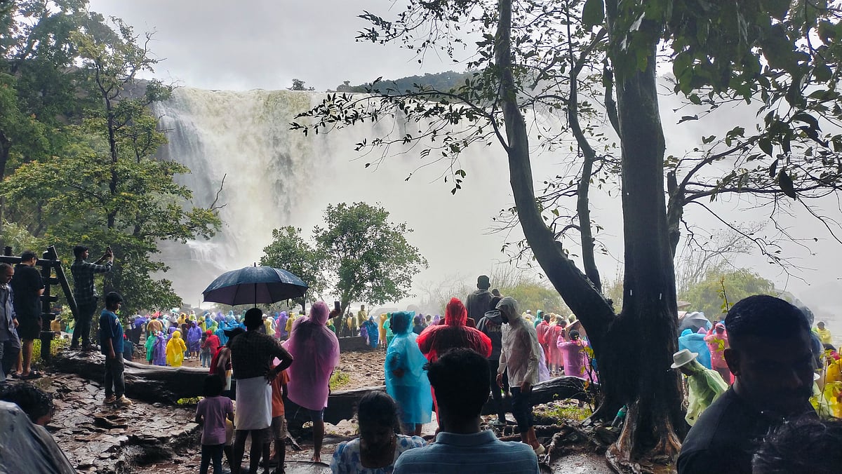 குளு குளு வால்பாறை `டு அதிசய  அதிரப்பள்ளி... Monsoon Tourism Travel Album!