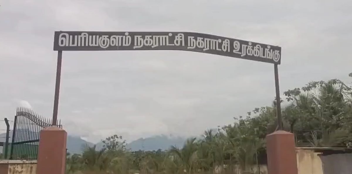 பெரியகுளம்: எரிந்த நிலையில் கிடக்கும் பன்றிகள்; கண்டுகொள்ளாத அதிகாரிகள்; நகராட்சியில் தொடரும் அவலம்
