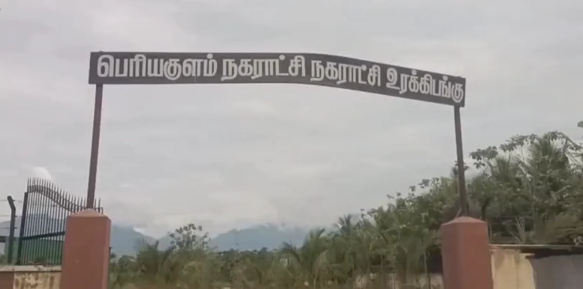 பெரியகுளம்:-எரிந்த-நிலையில்-கிடக்கும்-பன்றிகள்;-கண்டுகொள்ளாத-அதிகாரிகள்;-நகராட்சியில்-தொடரும்-அவலம்
