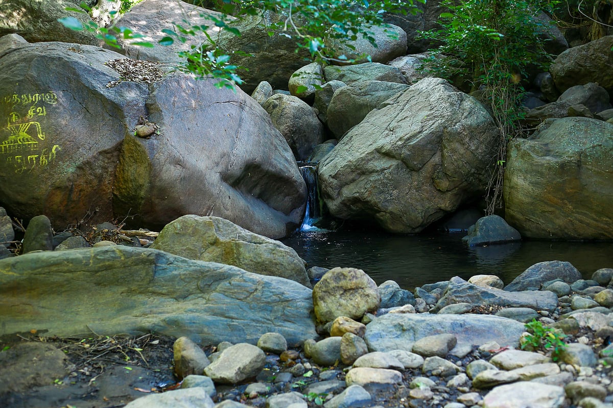 சதுரகிரி: `கொள்ளை அழகு! - மிஸ் பண்ணவேகூடாத வழித்தடம் | Photo Album