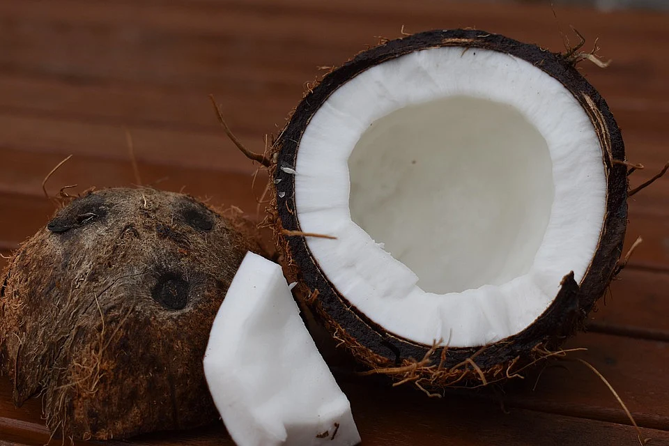 white foods