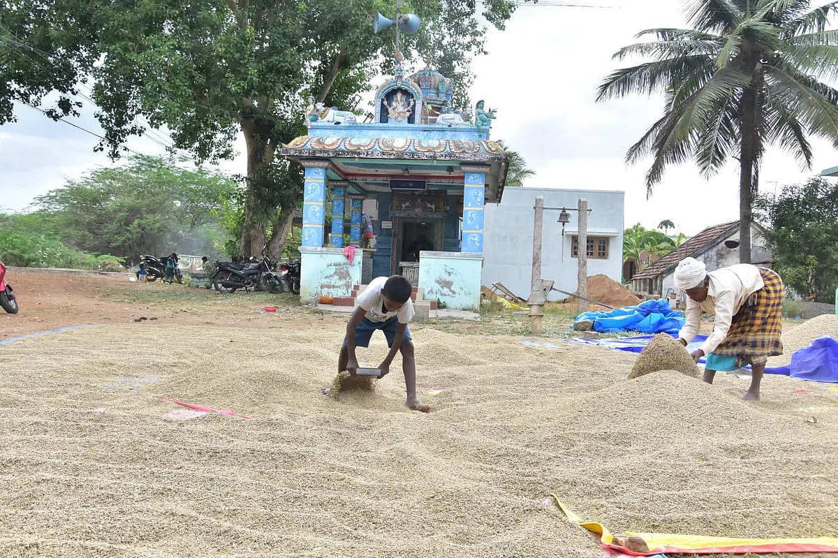 karuppu kavuni