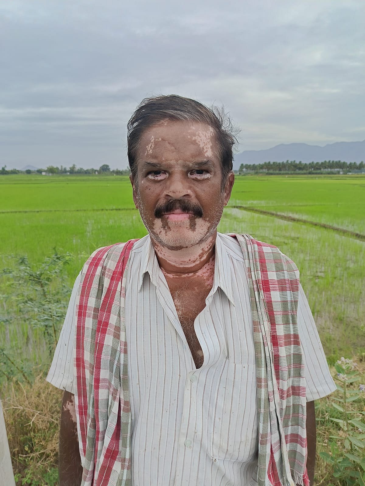 திண்டுக்கல்: நிலக்கோட்டையில் வளரும் புது விதமான களைகள்; தவிப்பில் விவசாயிகள்; பின்னணி என்ன?
