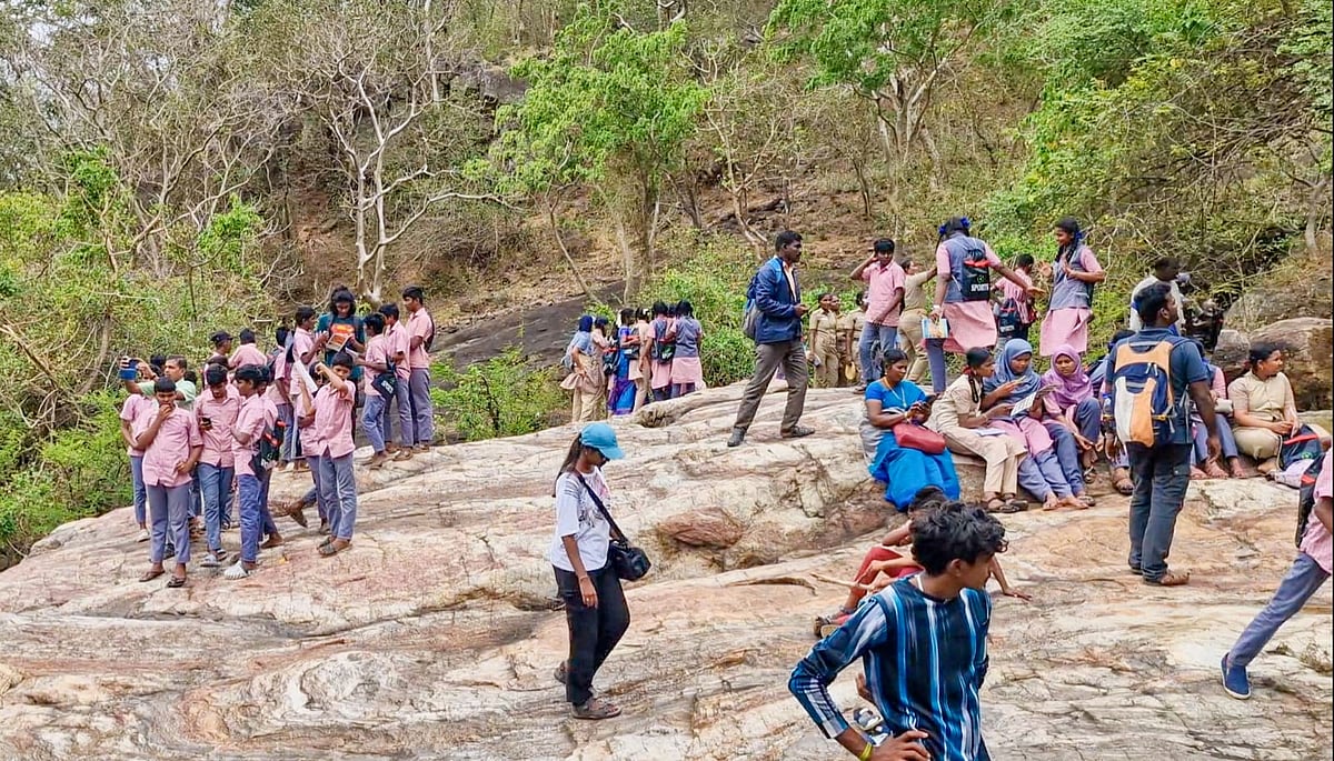 தென்காசி: `நாங்க ட்ரக்கிங் போனோமே!  அரசுப்பள்ளி மாணவர்கள் உற்சாகம்