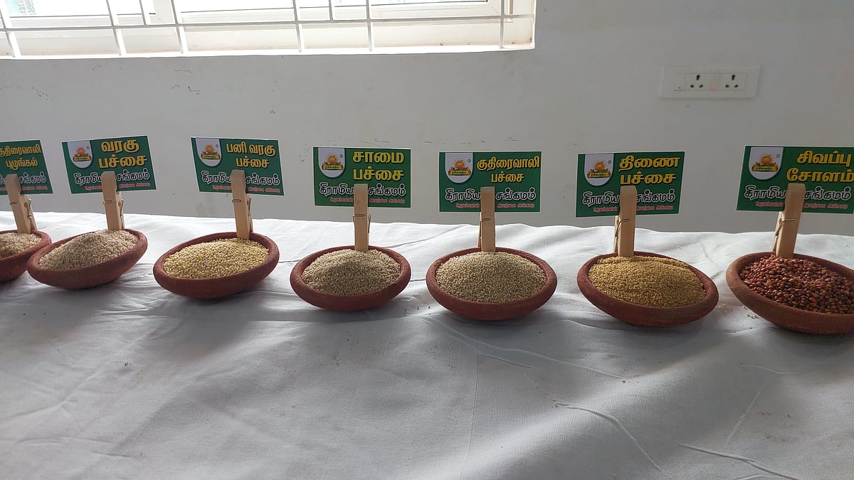 `500-க்கும் மேற்பட்ட நாட்டு ரக விதைகள்; இயற்கை உணவு வகைகள்- திருப்பூரில் விதைத் திருவிழா!