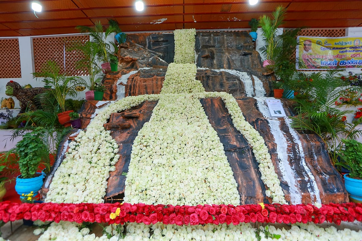 குற்றாலம்: ஐந்தருவி மலர் கண்காட்சி; அசரவைத்த காய்கறி குரங்கு, `வாசனைப் பொருள் வண்ணத்துப்பூச்சி