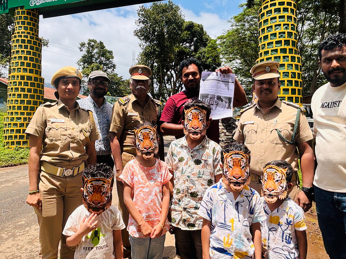 Tiger Day: முதுமலையில் 28 சதவிகிதமாக உயர்ந்த புலிகளின் எண்ணிக்கை - துளிர்க்கும் நம்பிக்கை!