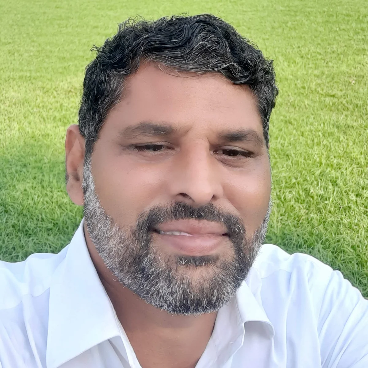 சத்தார்