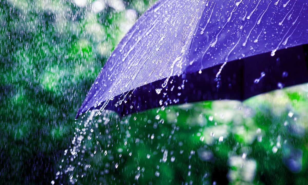 Rain Alert: ``சென்னை உள்ளிட்ட 12 மாவட்டங்களில் மழை - அப்டேட் கொடுத்த வானிலை ஆய்வு மையம்!
