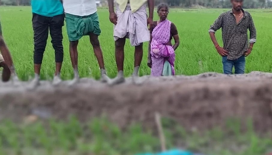 தஞ்சாவூர்: காற்று வீசியதில் அறுந்து விழுந்த மின்கம்பி, மின்சாரம் தாக்கி வயலில் தம்பதி பலி