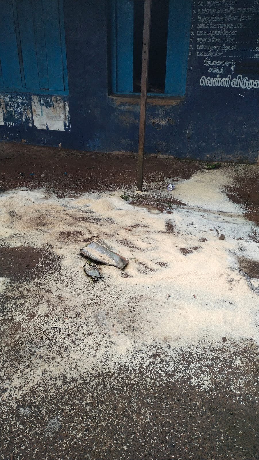 Nilgiris: அரிசி, பருப்பு எல்லாமே காலி, இரவோடு இரவாக ரேஷன் கடையை முடித்த யானைகள்