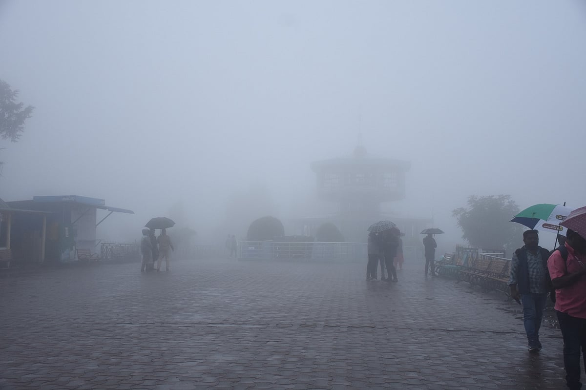 Nilgiri: ரெட் அலெர்ட்; பள்ளிகளுக்கு விடுமுறை, சுற்றுலாத்தலங்கள் மூடல்; அவசரகால எண்கள் வெளியீடு