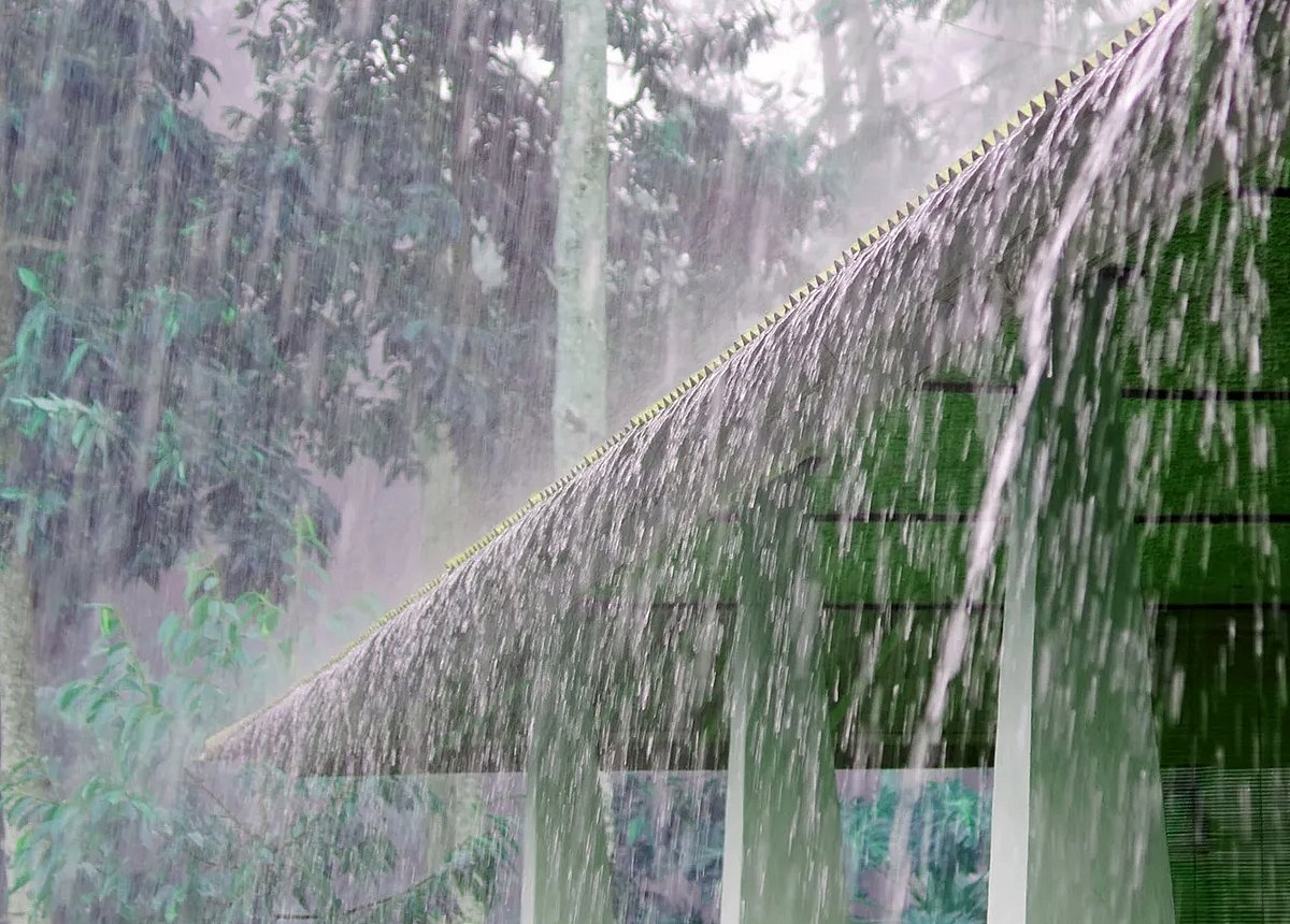 Rain Alert: இன்று இந்த 2 மாவட்டங்களுக்கு ஆரஞ்சு அலார்ட்; 7 மாவட்டங்களில் கனமழை?  - வானிலை ரிப்போர்ட்