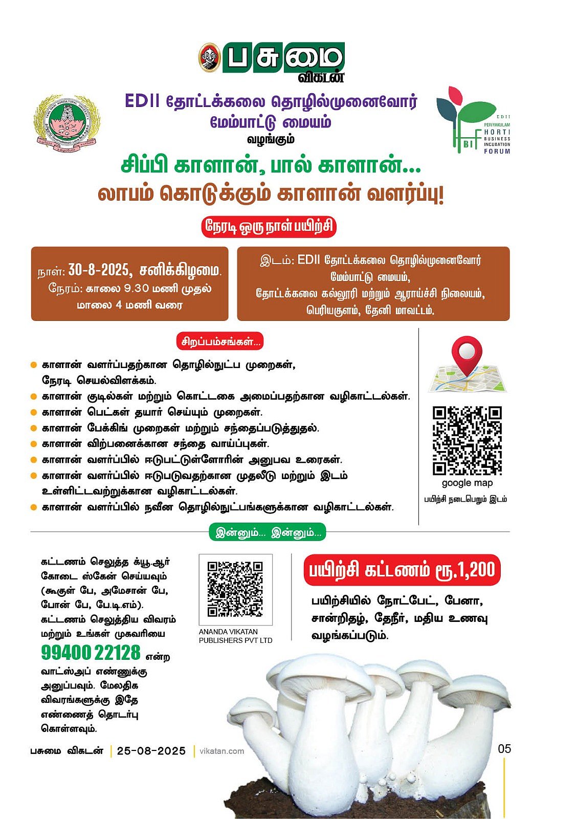 லாபம் கொடுக்கும் காளான் வளர்ப்பு பயிற்சி!