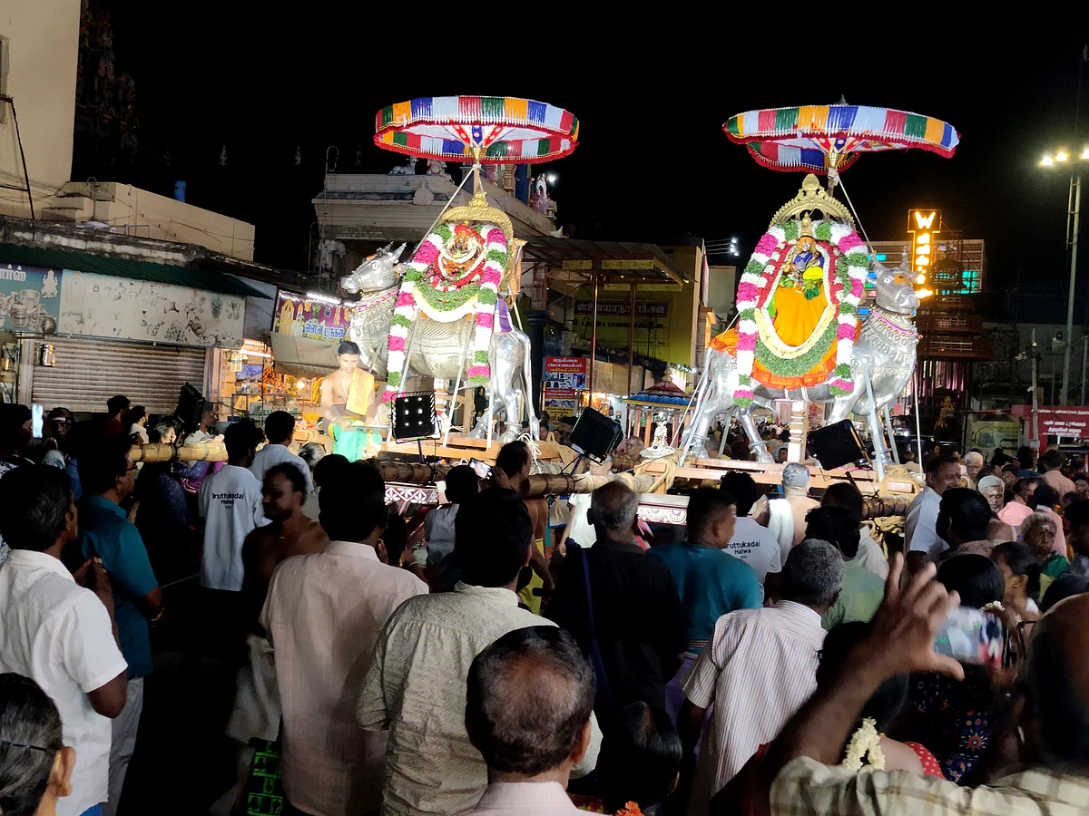 திருநெல்வேலி நெல்லையப்பர் திருக்கோயில் பவித்ர உத்ஸவம் திருவிழா.!
