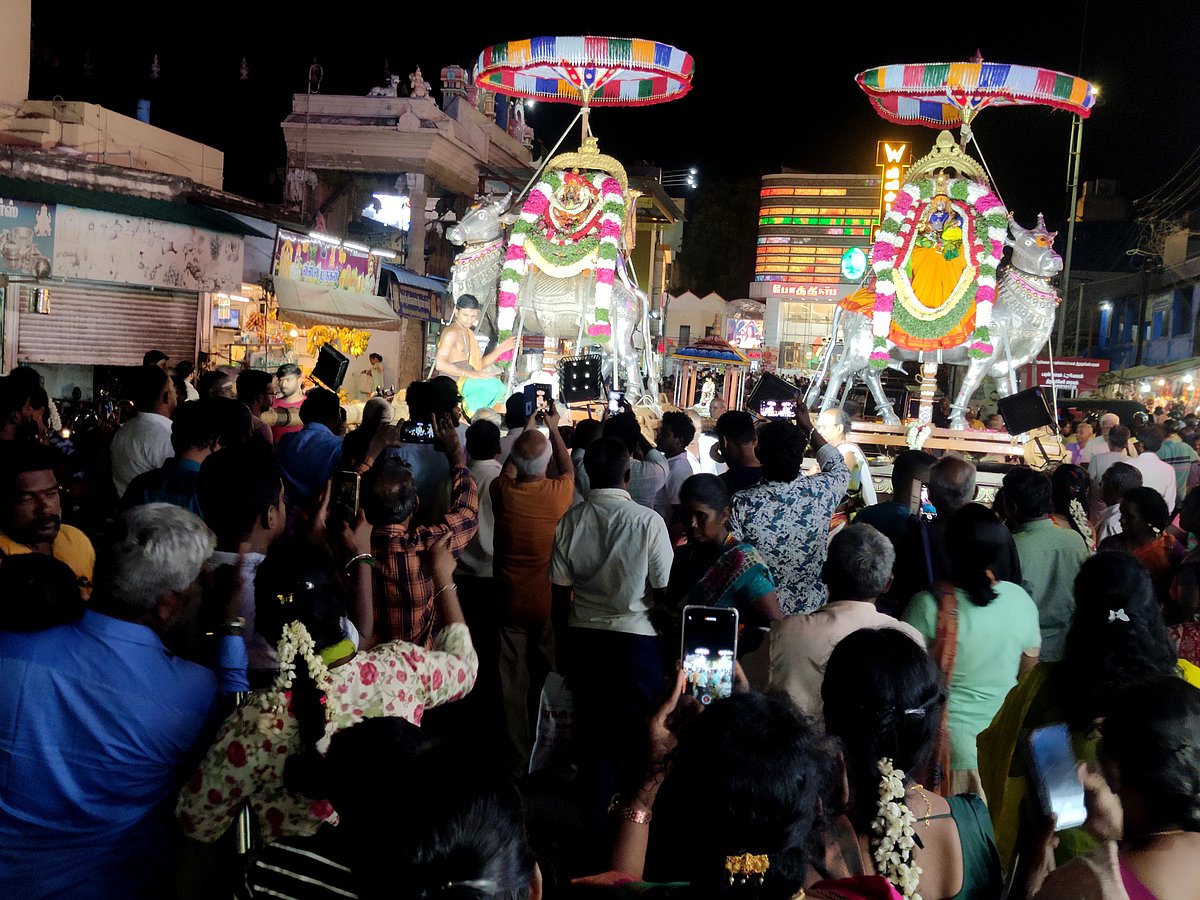திருநெல்வேலி: நெல்லையப்பர் திருக்கோயில் பவித்ர உத்ஸவம்: பஞ்ச மூர்த்திகள் திருவீதி உலா| Photo Album