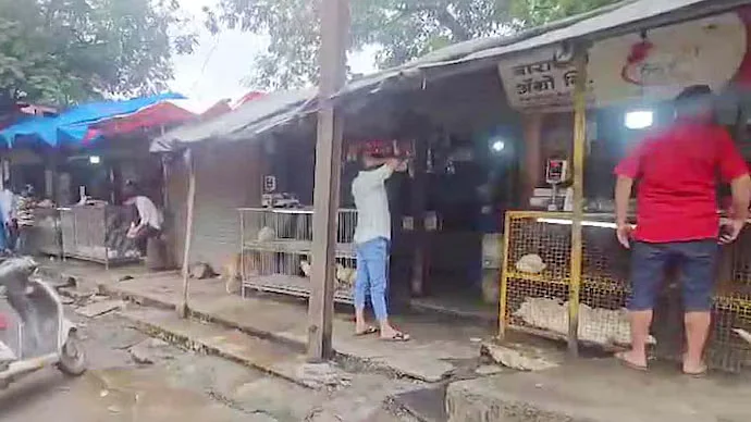 இறைச்சிக் கடை