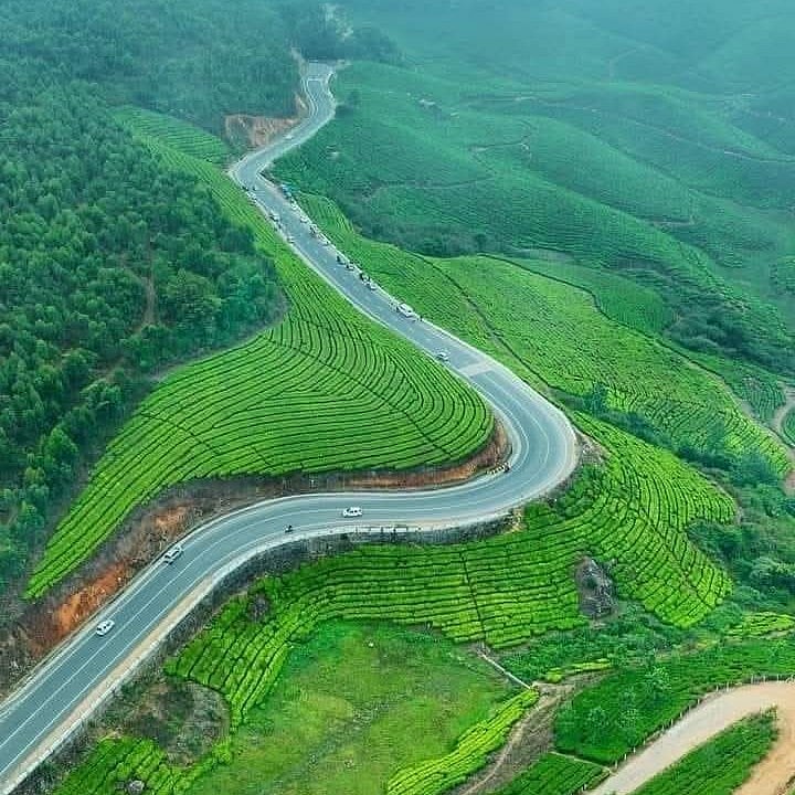 தேனி:-குடும்பத்துடன்-விடுமுறை-நாட்களை-கழிக்க-சூப்பர்-மலை-வாசஸ்தலம்---போடிமெட்டு-செல்ல-தயாரா?