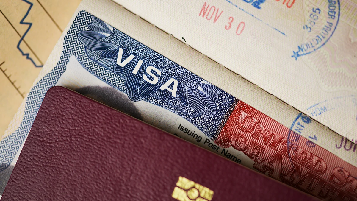 VIsa 