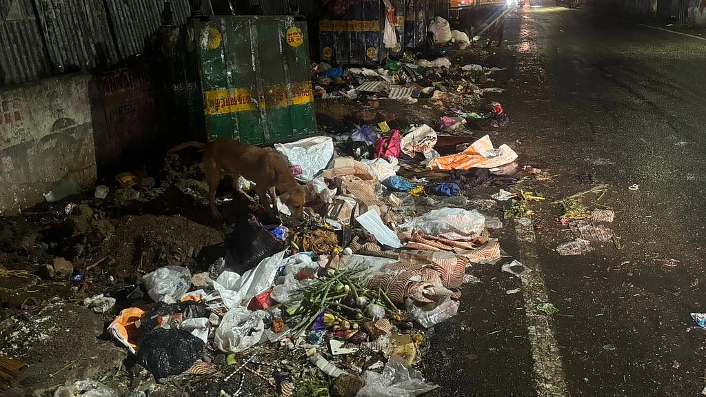சென்னை குப்பை