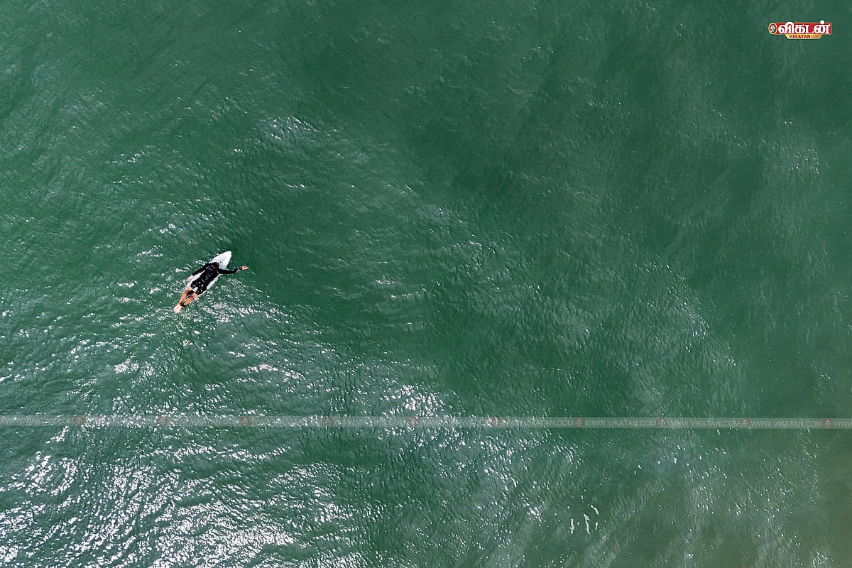 World Photography Day: கடல், நிலம், கிராமம், யானைகள் - வான் உயரத்திலிருந்து | TOP DOWN SHOTS