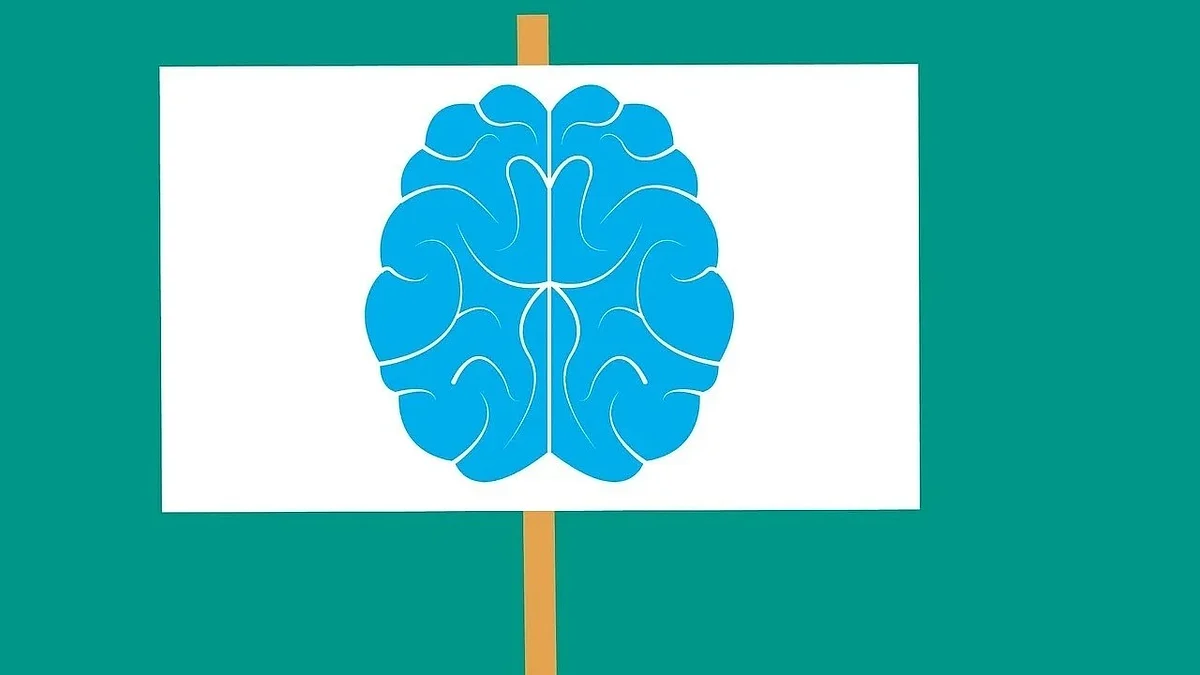 Brain