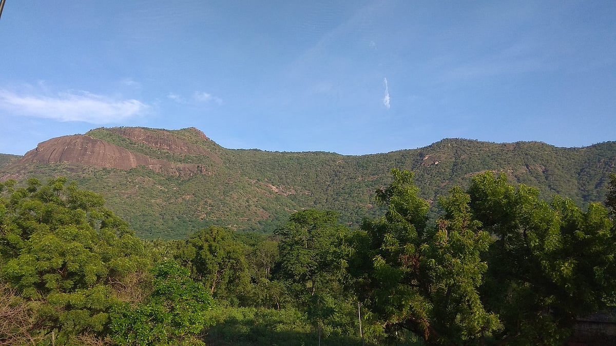 பிளவக்கல் பெரியாறு அணை பூங்கா பராமரிப்புக்கு ரூ.10 கோடி நிதி ஒதுக்கீடு; சுற்றுலா பயணிகள் மகிழ்ச்சி