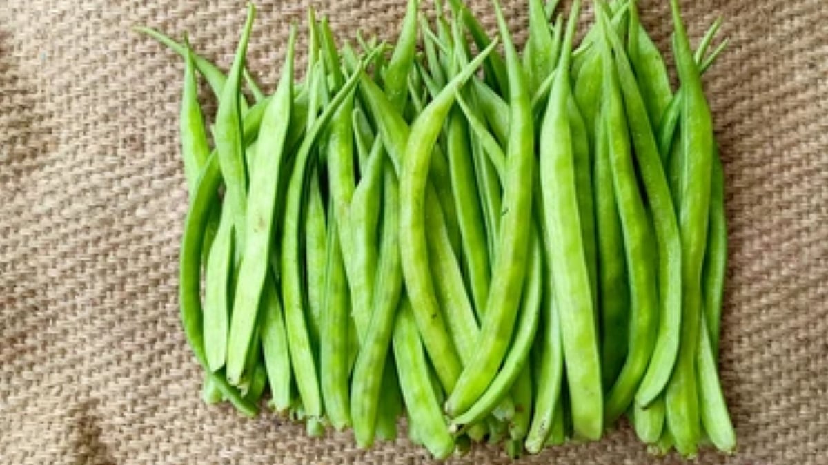 Guar: இந்தியா உற்பத்தி செய்யும் கொத்தவரங்காய்க்கு அமெரிக்காவில் டிமாண்ட்; எதற்குத் தெரியுமா?