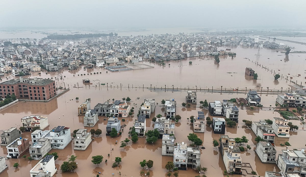 வெள்ள நீரை வீட்டில் சேமியுங்கள்; அணை கட்ட 10 வருடங்கள் ஆகும் - பாகிஸ்தான் அமைச்சர் யோசனை
