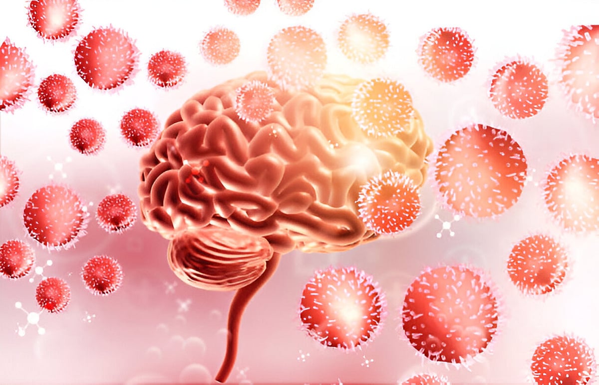 Brain Eating Amoeba