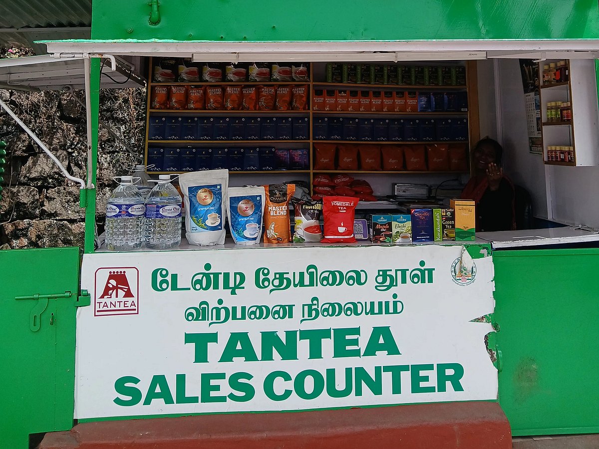 TANTEA: ``அரசு தேயிலை தூள் கிடையாது - தனியார் தேயிலையை விற்கும் டேன் டீ ஷாப்; என்ன காரணம்?