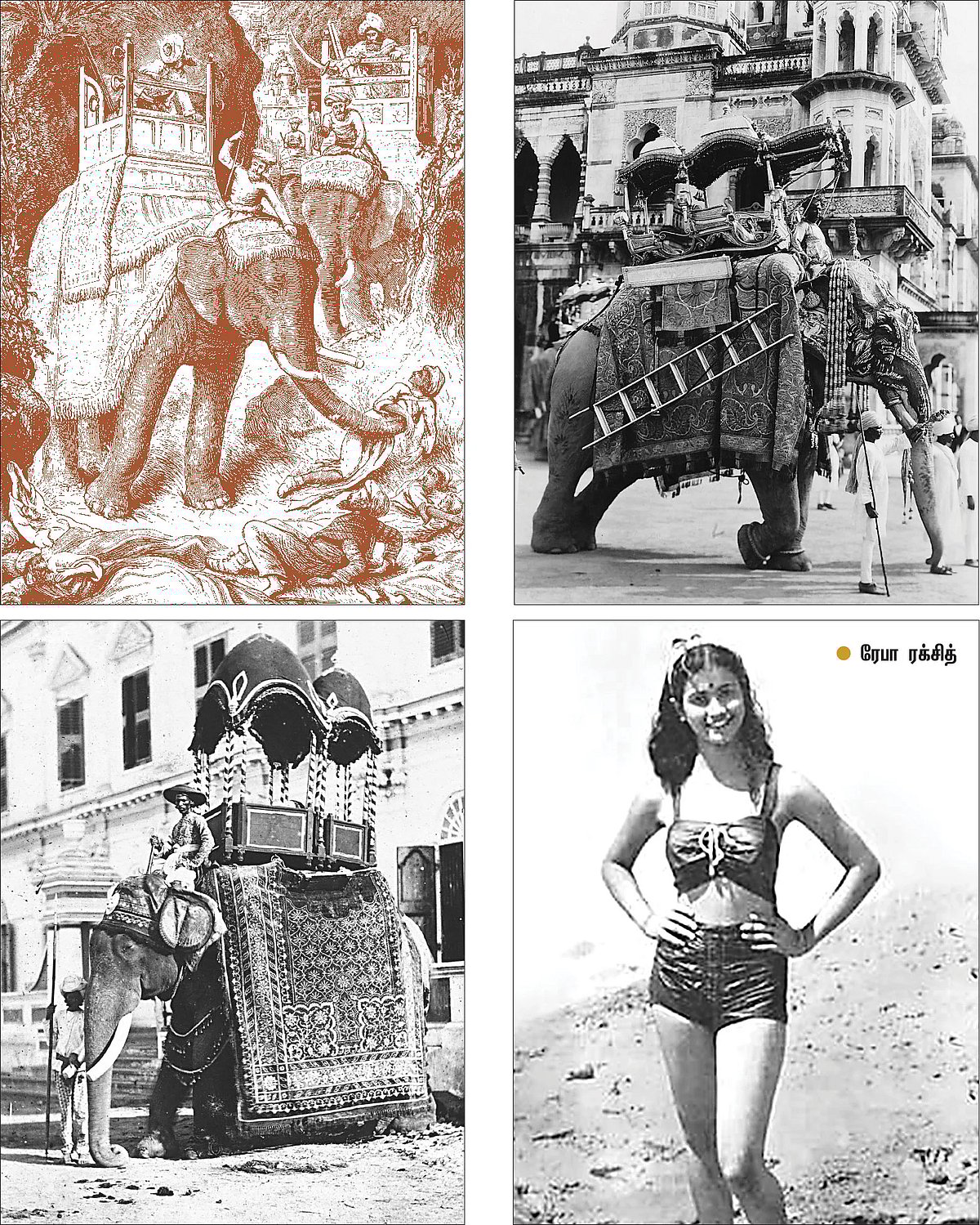 யானைக் கதைகள்