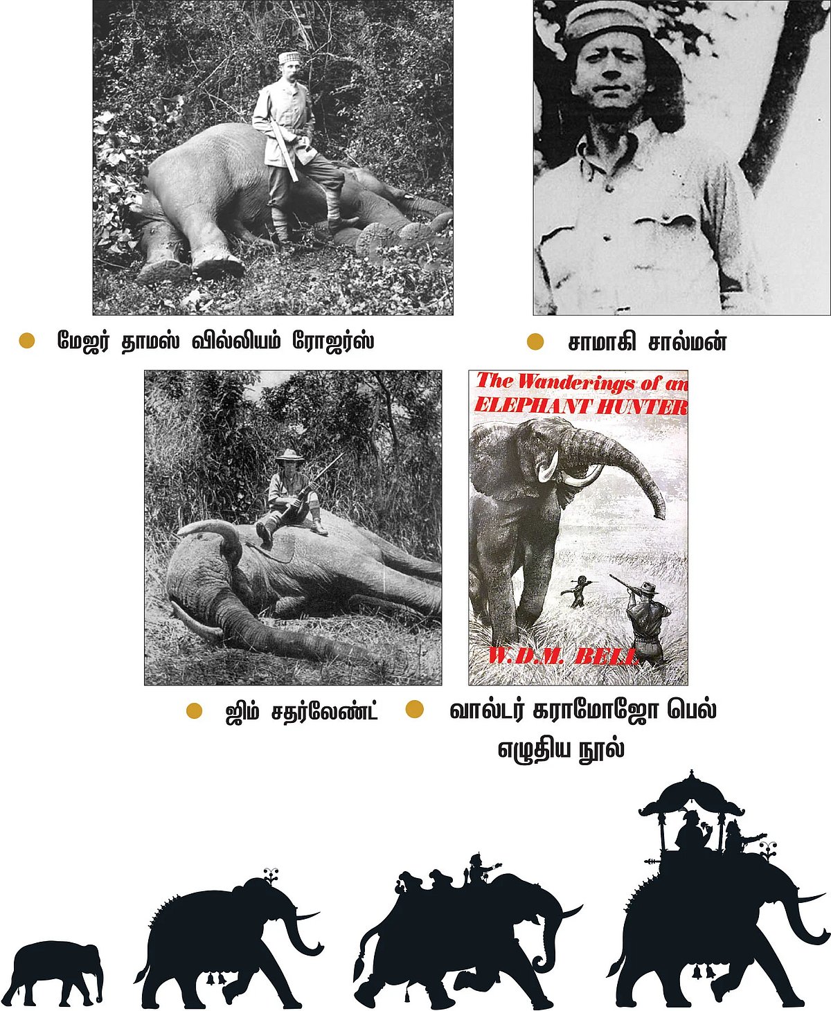 யானைக் கதைகள்