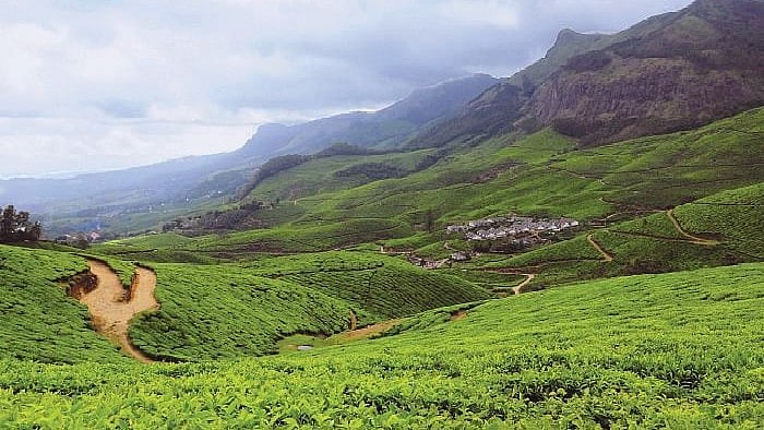 கொழுக்குமலை