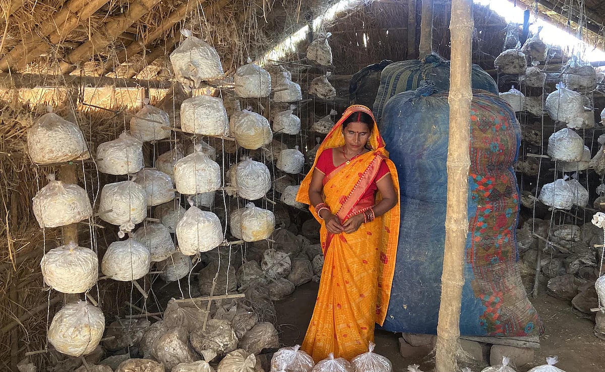 பீனா தேவி