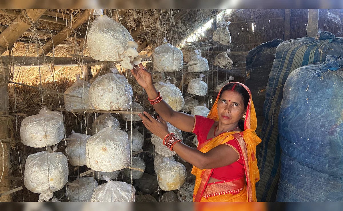 காளான் வளர்க்கும் பீனா தேவி