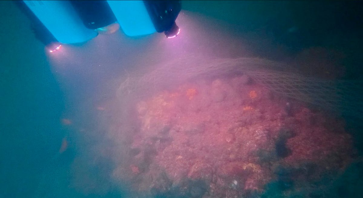 பூம்புகார்: கடல் ஆய்வு | தமிழ்நாடு