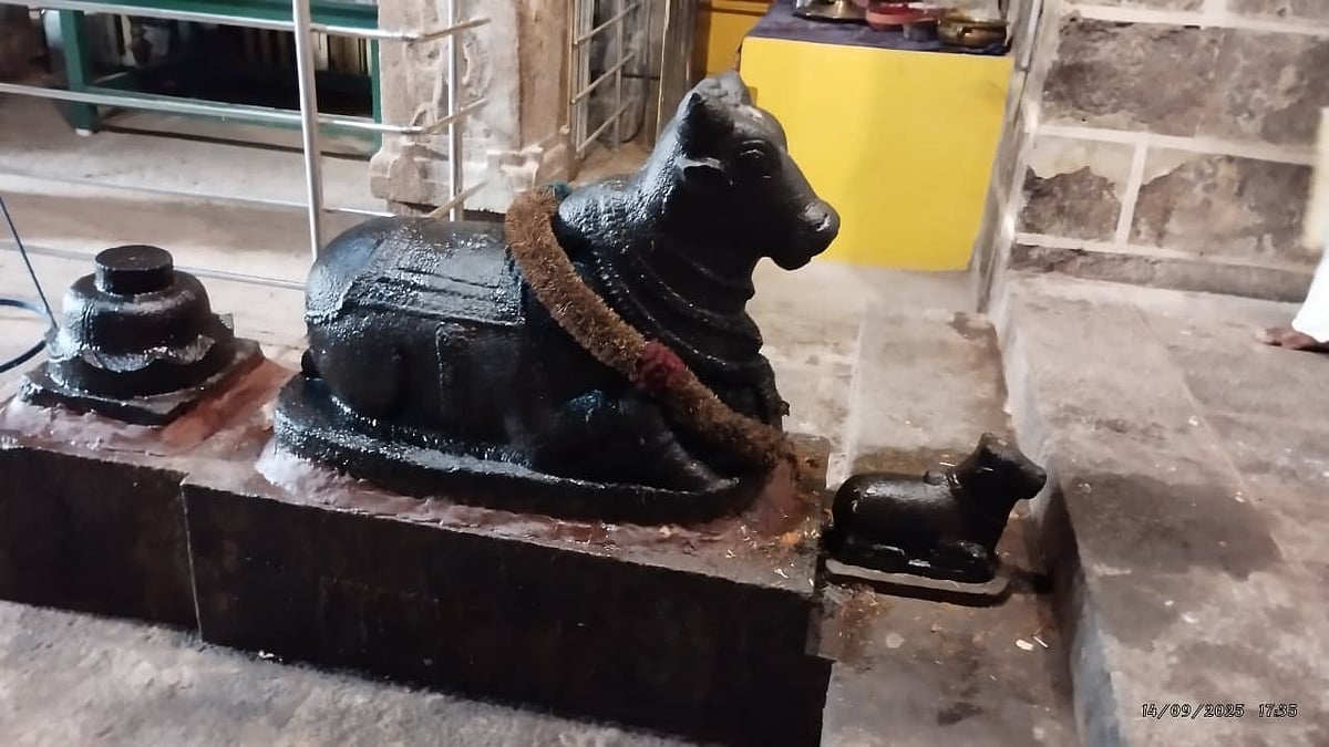 சிஷ்டகுருநாதீஸ்வரர் கோவில்