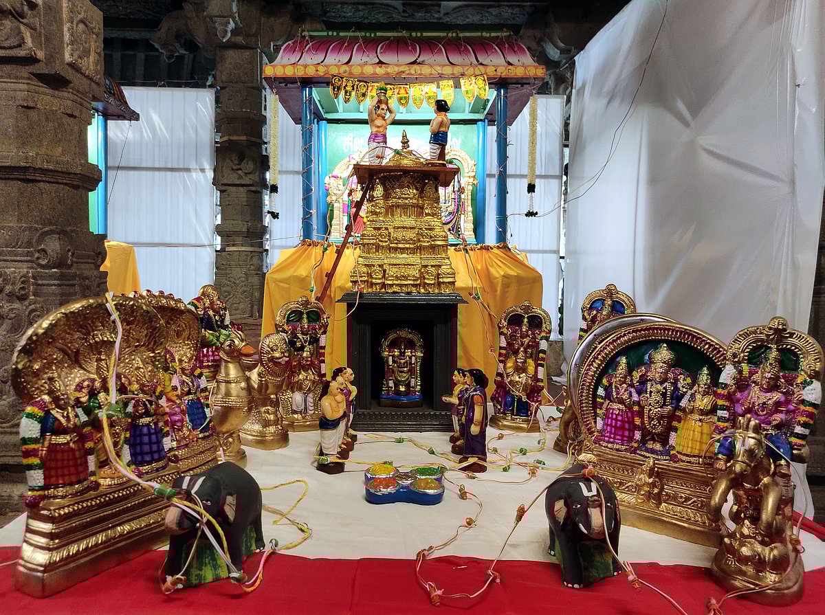 திருநெல்வேலி நெல்லையப்பர்-காந்திமதி அம்பாள் திருக்கோயில் நவராத்திரி விழா கொழு உற்சவம்.!