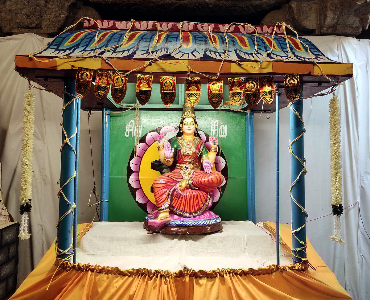 திருநெல்வேலி நெல்லையப்பர்-காந்திமதி அம்பாள் திருக்கோயில் நவராத்திரி விழா கொழு உற்சவம்.!
