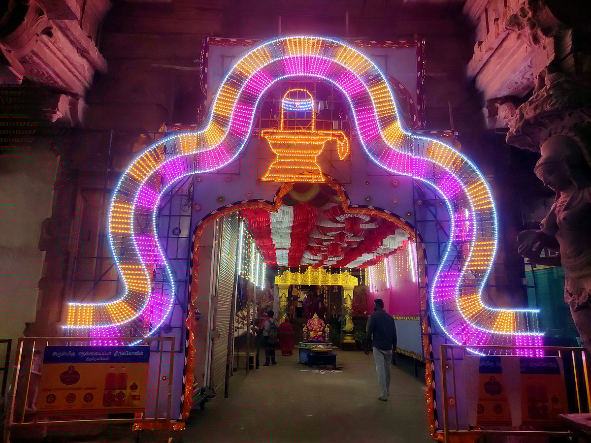 திருநெல்வேலி நெல்லையப்பர்-காந்திமதி அம்பாள் திருக்கோயில் நவராத்திரி விழா கொழு உற்சவம்.!