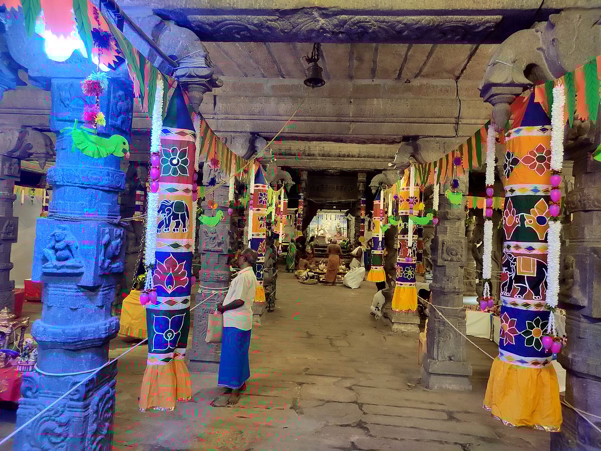 திருநெல்வேலி நெல்லையப்பர்-காந்திமதி அம்பாள் திருக்கோயில் நவராத்திரி விழா கொழு உற்சவம்.!