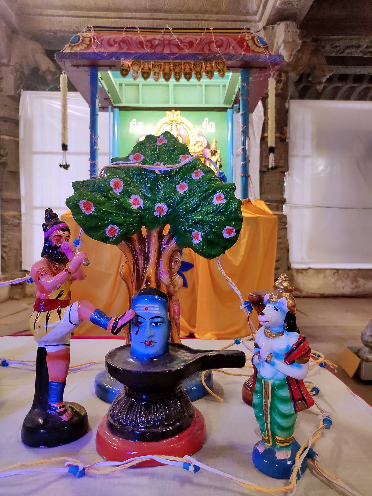 திருநெல்வேலி நெல்லையப்பர்-காந்திமதி அம்பாள் திருக்கோயில் நவராத்திரி விழா கொழு உற்சவம்.!