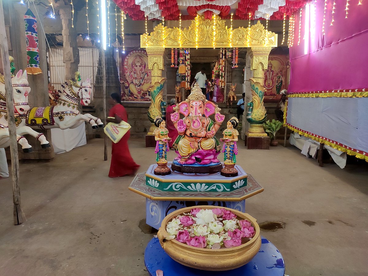 திருநெல்வேலி நெல்லையப்பர்-காந்திமதி அம்பாள் திருக்கோயில் நவராத்திரி விழா கொழு உற்சவம்.!