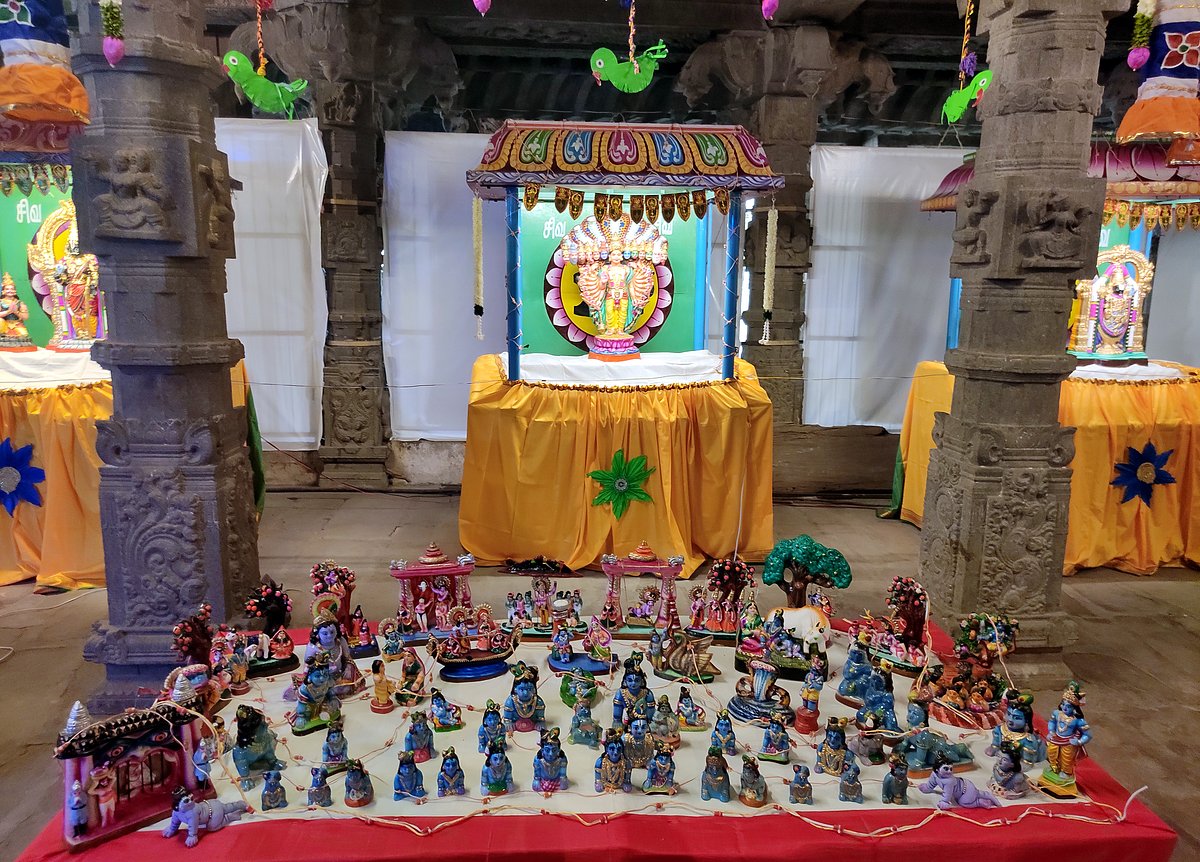 திருநெல்வேலி நெல்லையப்பர்-காந்திமதி அம்பாள் திருக்கோயில் நவராத்திரி விழா கொழு உற்சவம்.!